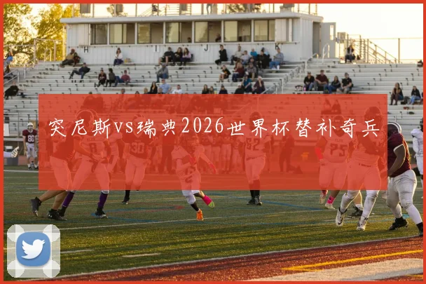 突尼斯vs瑞典2026世界杯替补奇兵 — 详细说明