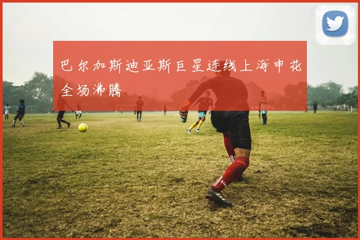 巴尔加斯迪亚斯巨星连线上海申花全场沸腾