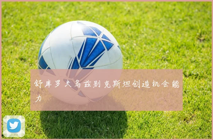 舒库罗夫乌兹别克斯坦创造机会能力