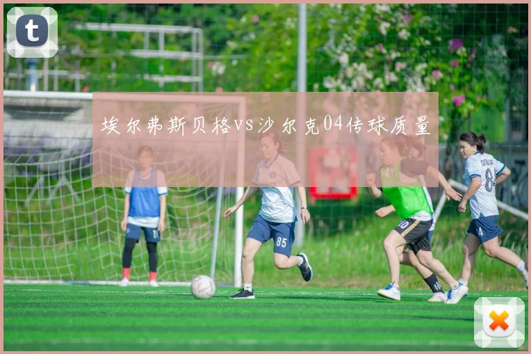 埃尔弗斯贝格vs沙尔克04传球质量